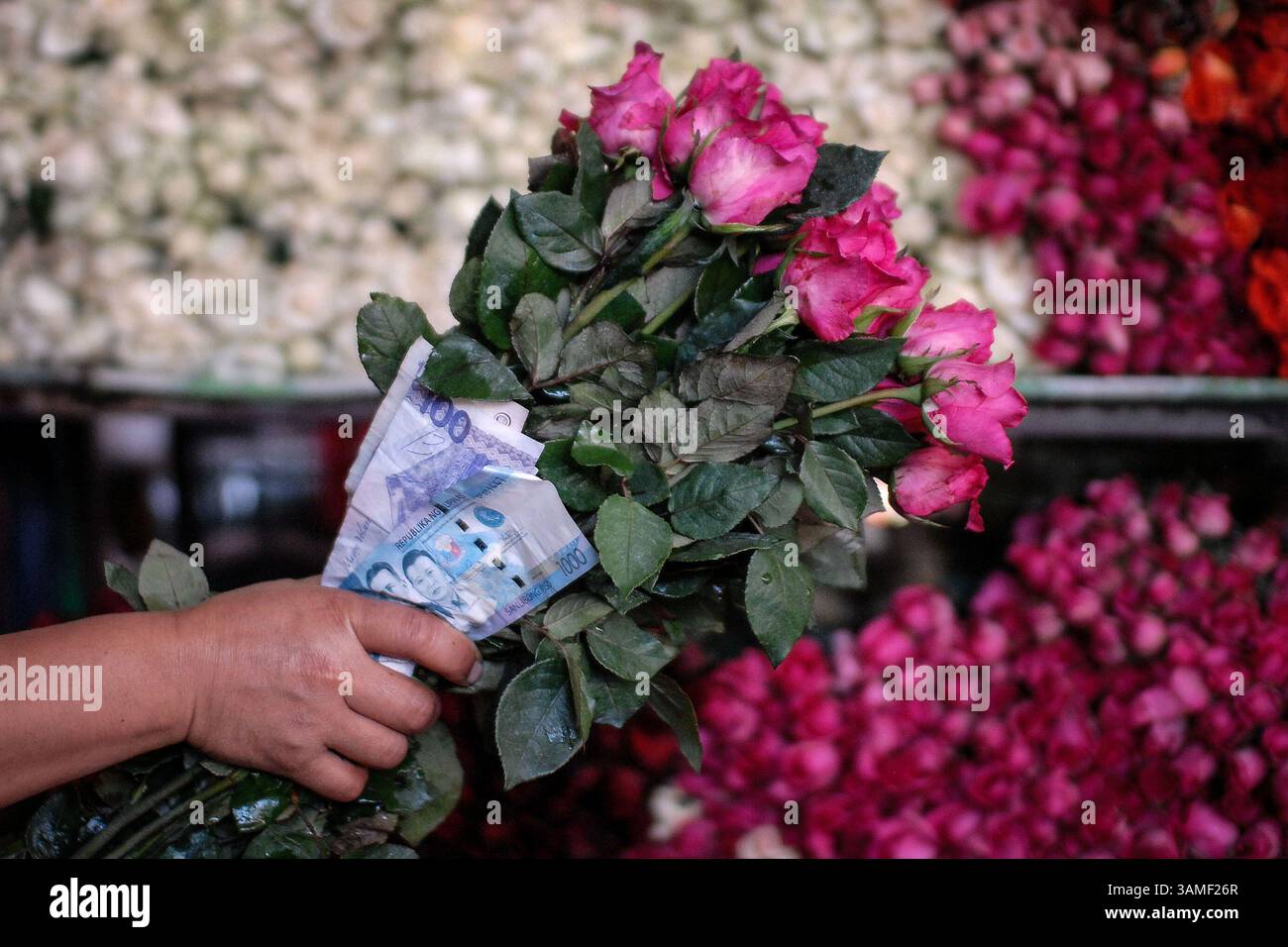 13. Februar 2014 - Manila, Philippinen - Ein Blumenhändler hält Ein Bündel Rosen und philippinische Peso-Rechnungen einen Tag vor Valentinstag auf dem Dangwa Blumenmarkt in Manila, Philippinen, am 13. Februar 2014. Viele Blumenhändler haben begonnen, zum Valentinstag Sträuße und Rosen zu verkaufen. (Bild: © Ezra Acayan/ZUMAPRESS.com) Stockfoto