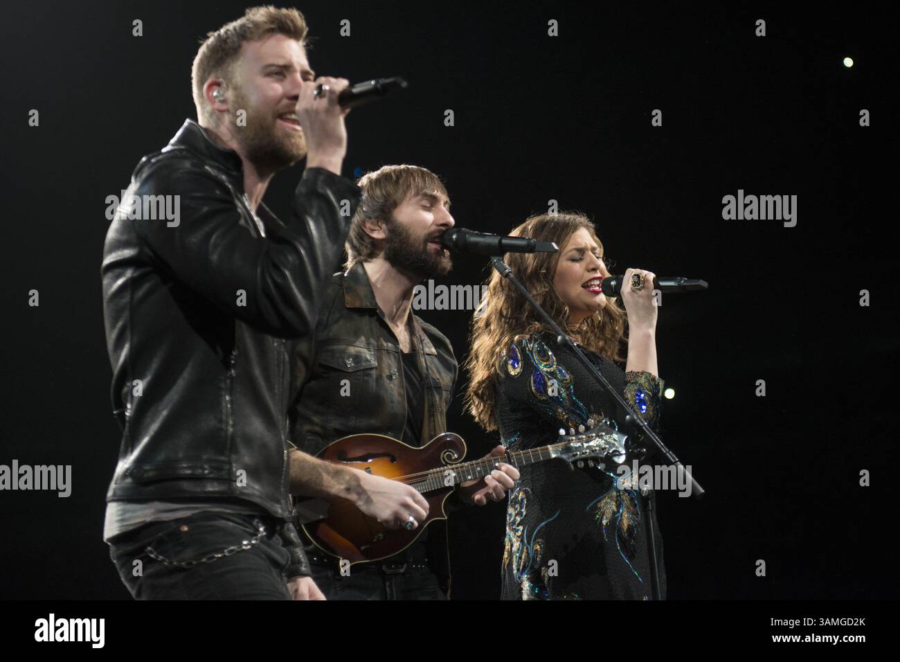 1. März 2014: London, Ontario, Kanada: Die Nashville-Superstar-Musikgruppe Lady Antebellum tritt in den Budweiser Gardens in London Ontario auf. (Kreditbild: © Baden Roth/ZUMAPRESS.com) Stockfoto