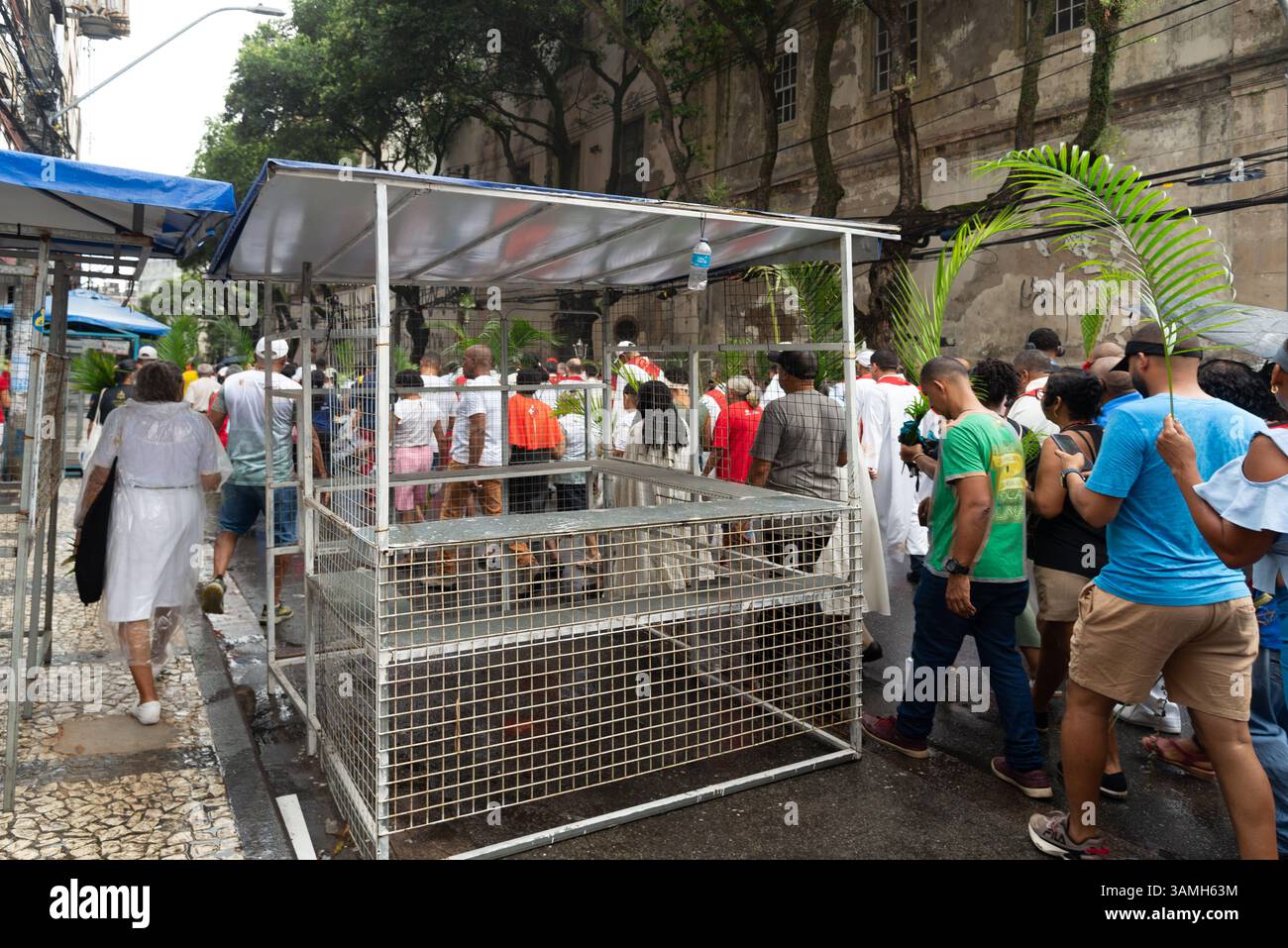 Salvador, Bahia, Brasilien - 13. April 2025: Hunderte Katholiken werden während einer Palmsonntagsprozession in Salvador, Brasilien, beim Spaziergang gesehen. Stockfoto