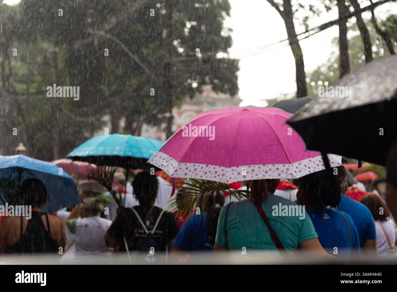 Salvador, Bahia, Brasilien - 13. April 2025: Palmensonntag-Prozession mit katholischen Gläubigen, die durch die Straßen von Salva laufen Stockfoto