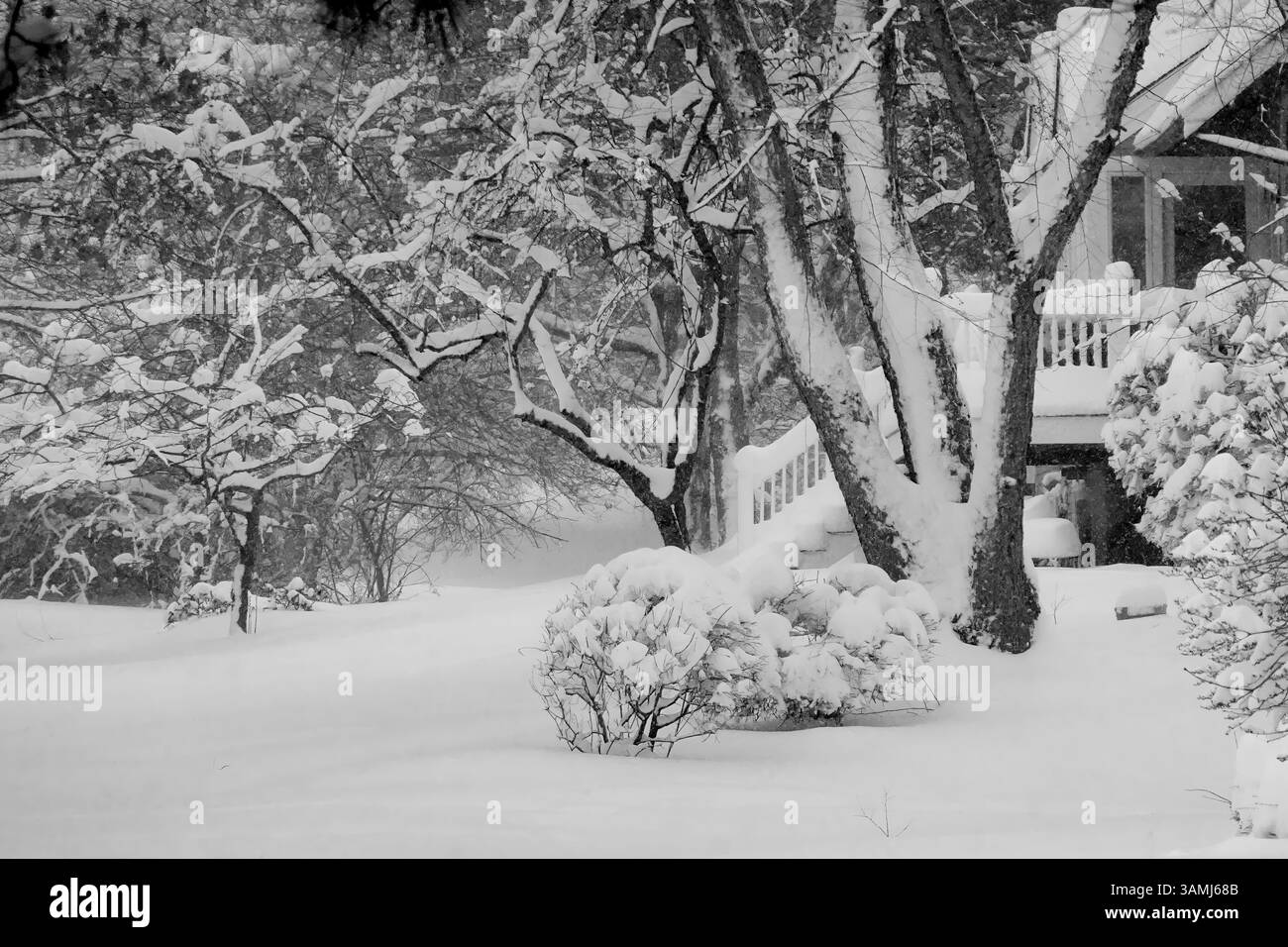 Winter's Embrace: Schneebedecktes Zuhause in New England Stockfoto