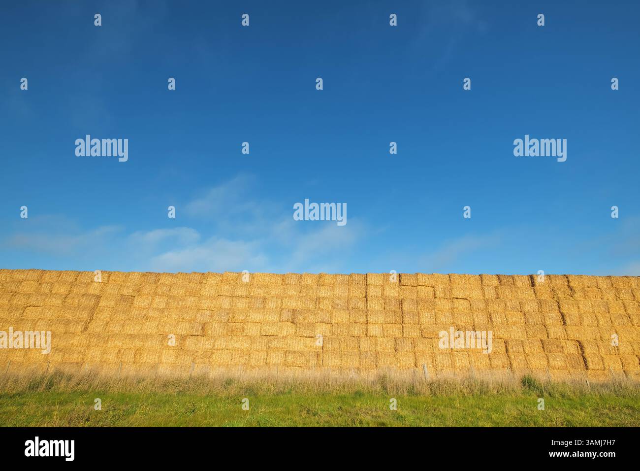 Eine hohe Reihe von Heuballen vor einem sonnigen blauen Himmel Stockfoto