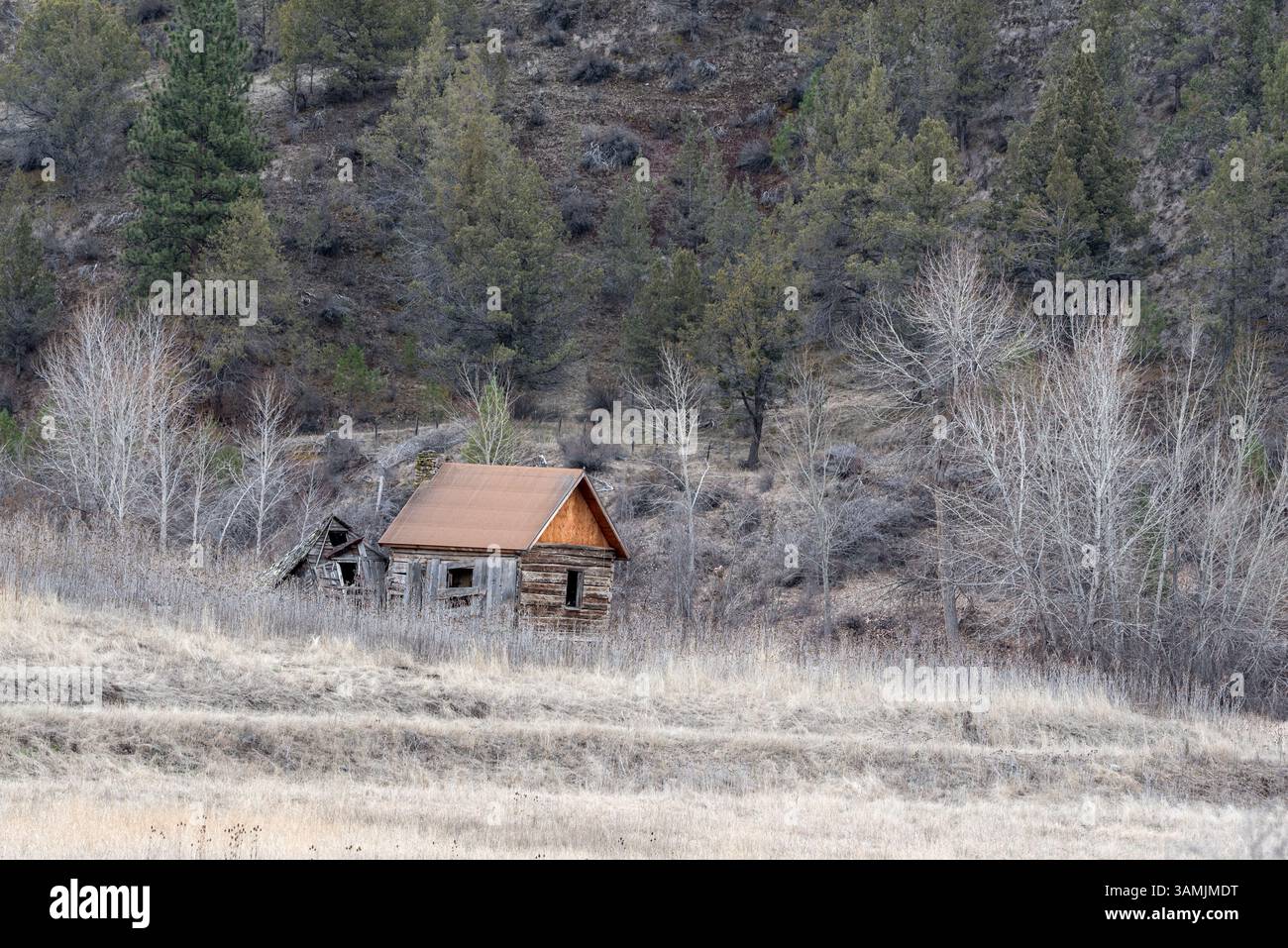 Alte Gebäude im ländlichen Grant County, Oregon. Stockfoto