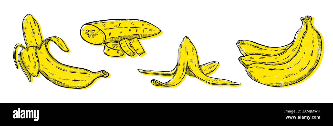 Doodle-Banane. Linienpflanzenskizze, ganze tropische Früchte und Schale. Affenbündel als grafische Naturkunst, Lebensmittelsymbol oder Stichsammlung. Botanisches Bio-Produkt, leckerer Snack. Vektorisolierte Illustration Stock Vektor