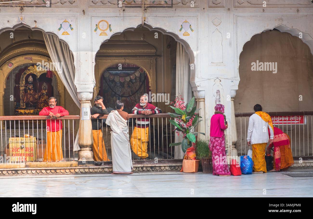 Galta Affentempel Jaipur Rajasthan Indien Stockfoto