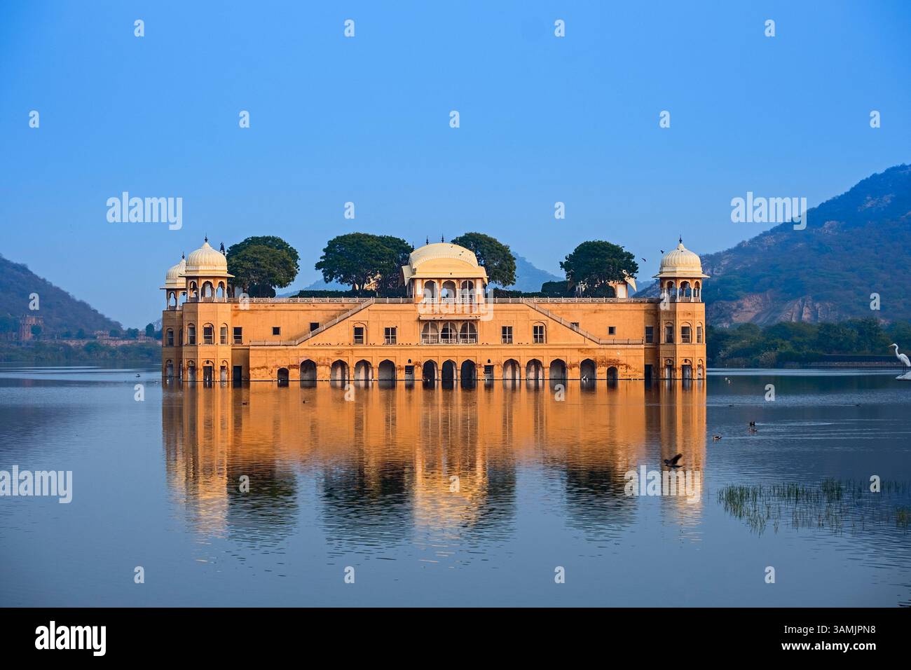 Jal Mahal Water Palace Man Sagar Lake Jaipur Rajasthan Indien Stockfoto