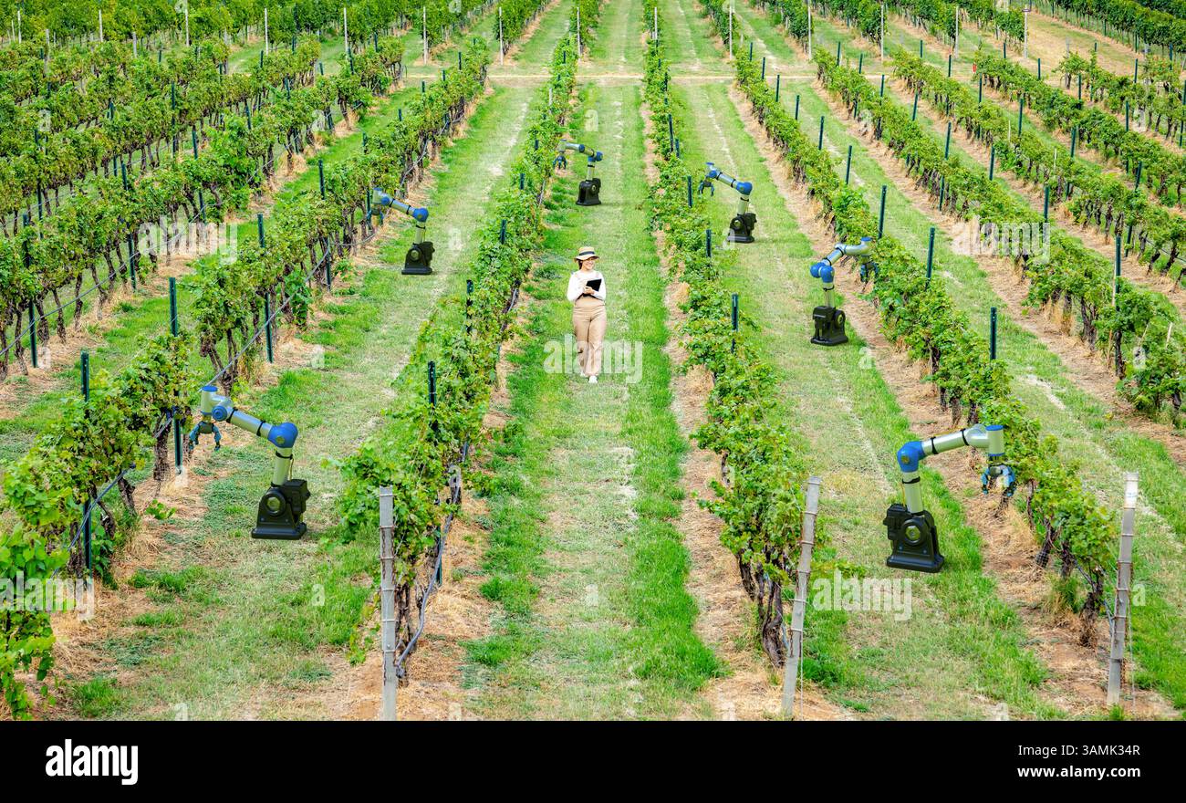Intelligentes Weinbergsystem mit asiatischen Winzern arbeiten mit Roboterarmen Stockfoto