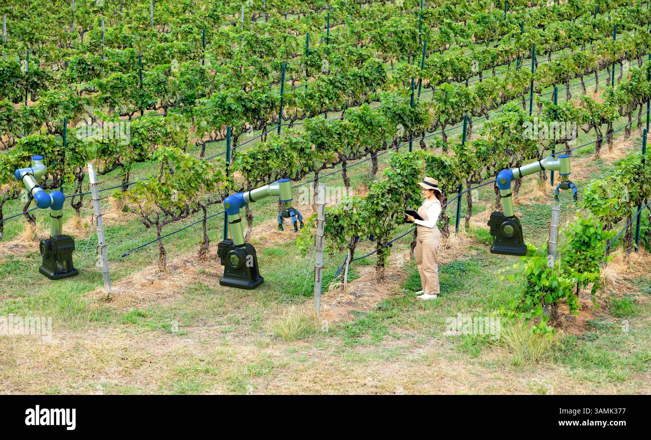 Intelligentes Weinbergsystem mit asiatischen Winzern arbeiten mit Roboterarmen Stockfoto