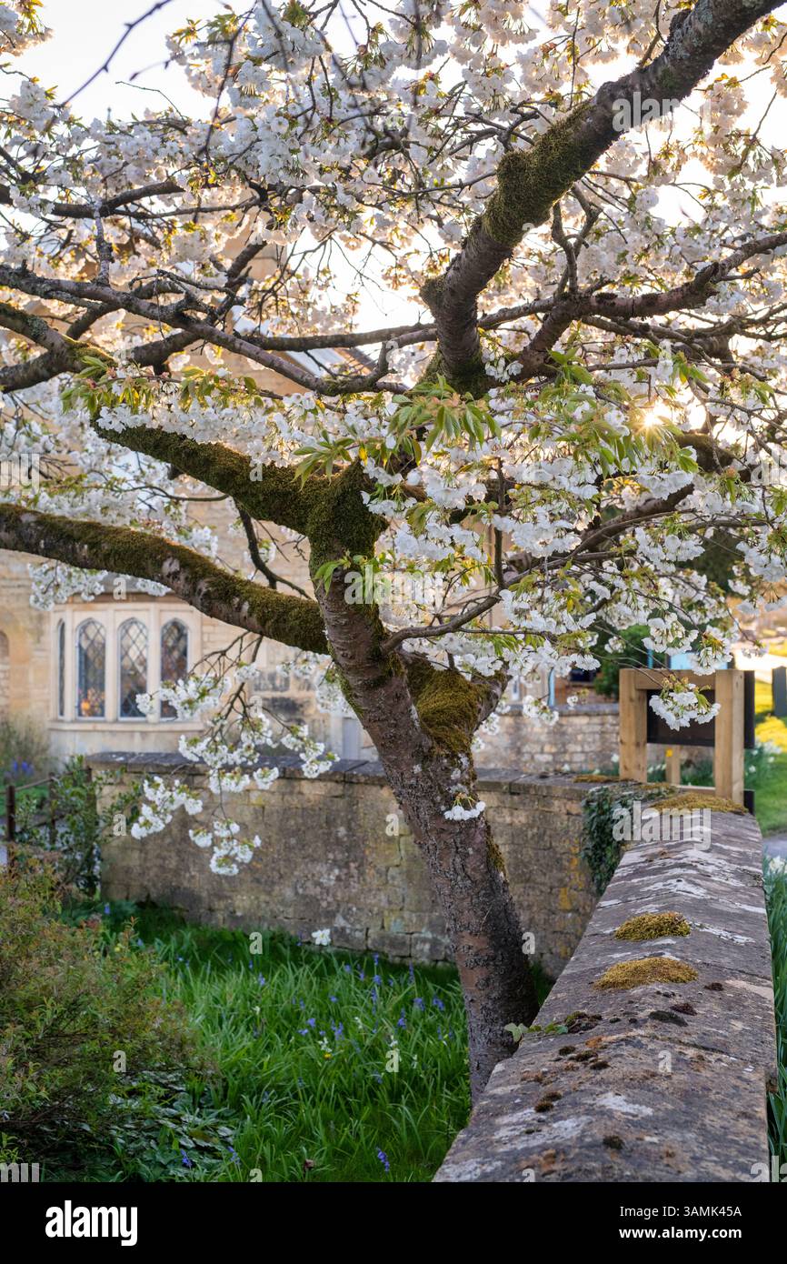 Sezincote Tor Haus und Baum blühen im Sonnenuntergang Licht. Sezincote. Cotswolds, Gloucestershire, England. Stockfoto