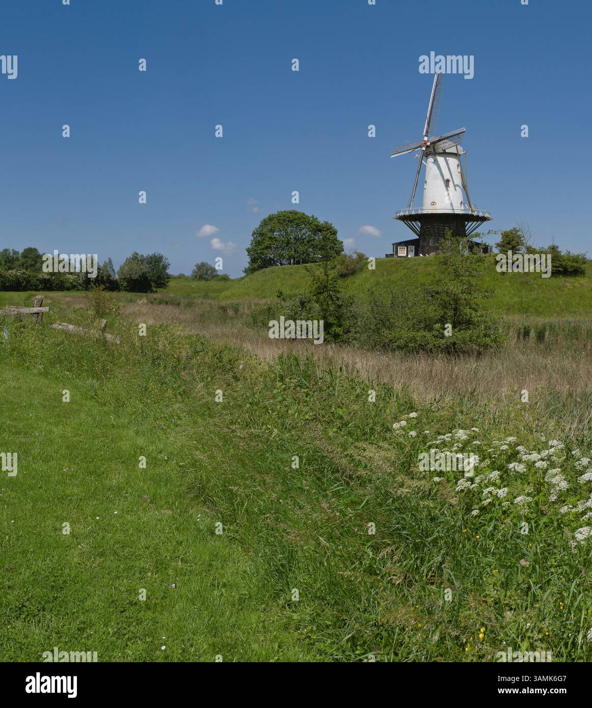 Towermill The Cow, Veere, Walcheren, Zeeland, Niederlande, René van der Meer Stockfoto