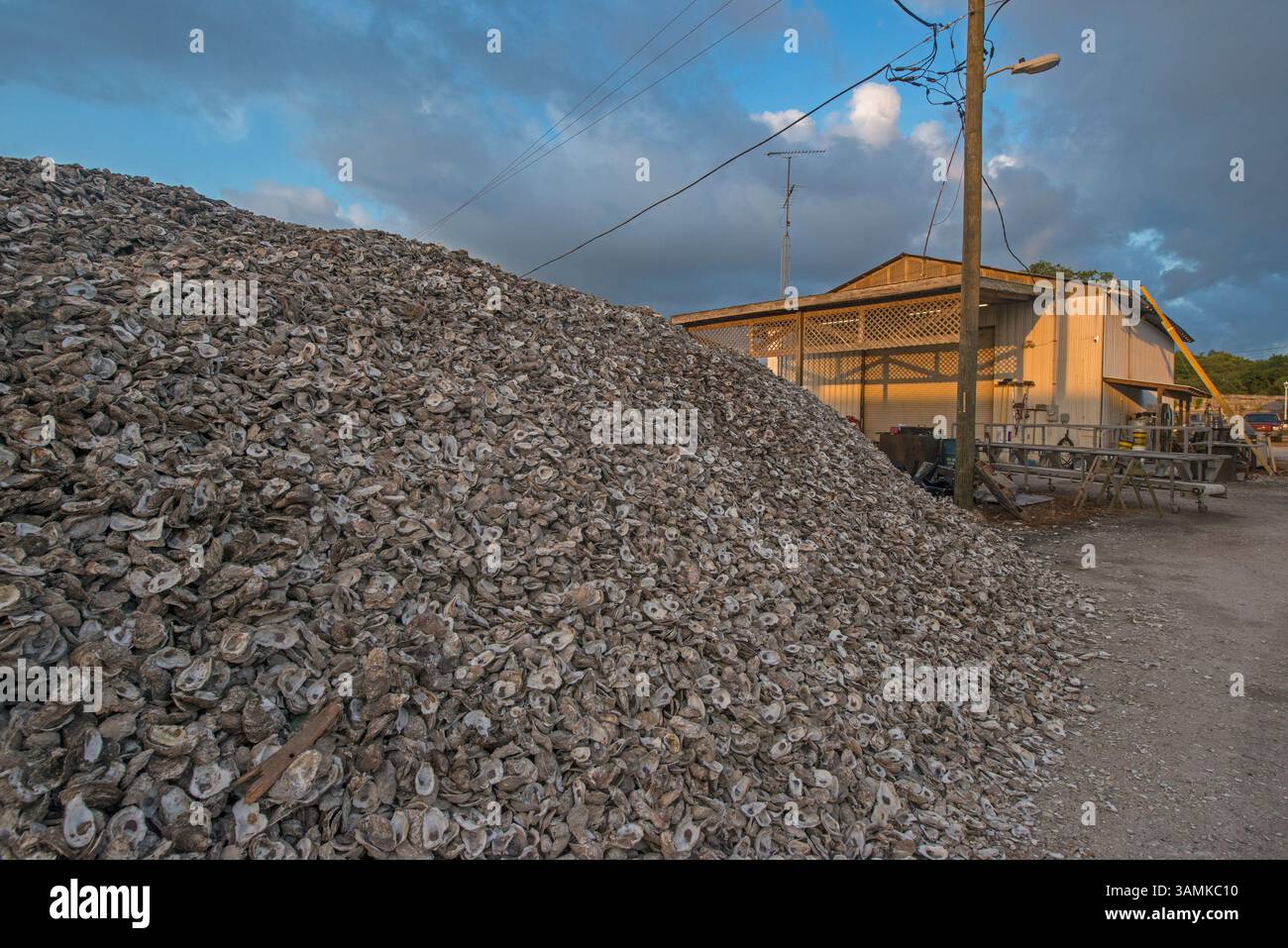 Haufen ausgeworfener Austernschalen, Apalachicola, Florida, USA Stockfoto
