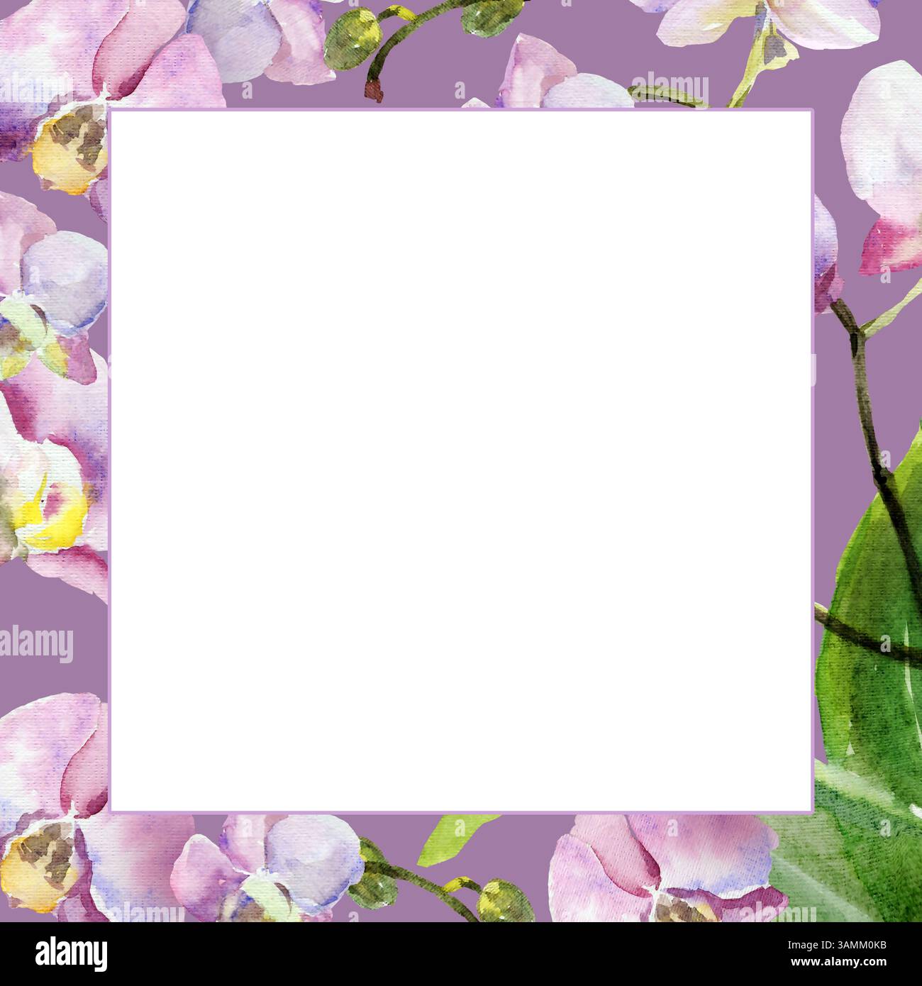 Weißer Rahmen auf Aquarellrosa und lila Orchideenblumen Hintergrund, Knospen und grüne Blätter, handgezeichnete tropische Pflanze, Blumenskizze der Blütenblume Stockfoto