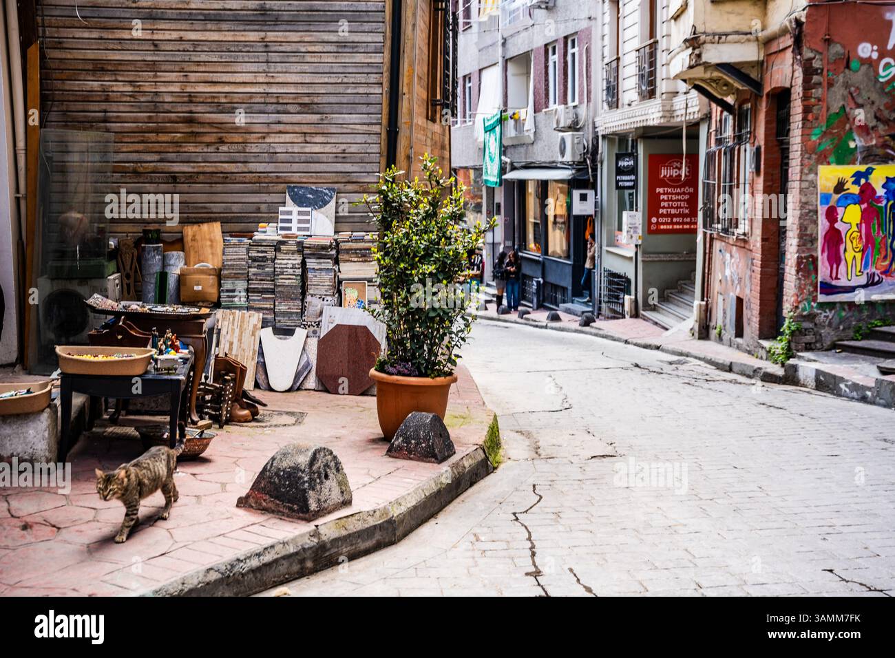 Eine ruhige, gewundene Straße in Beyoğlu, Istanbul, Türkei, mit Gebrauchtgegenständen, Straßenkunst, und eine Katze, die in der Nähe von Vintage-Läden herumläuft. Stockfoto