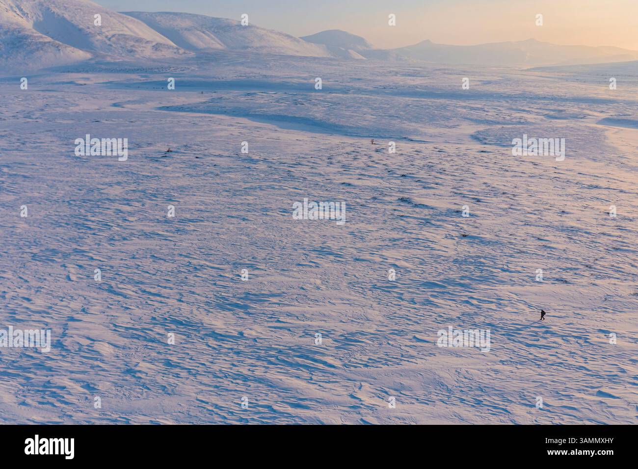 Luftaufnahme der gefrorenen Tundra in Workuta, Komi Republik, Russland. Stockfoto