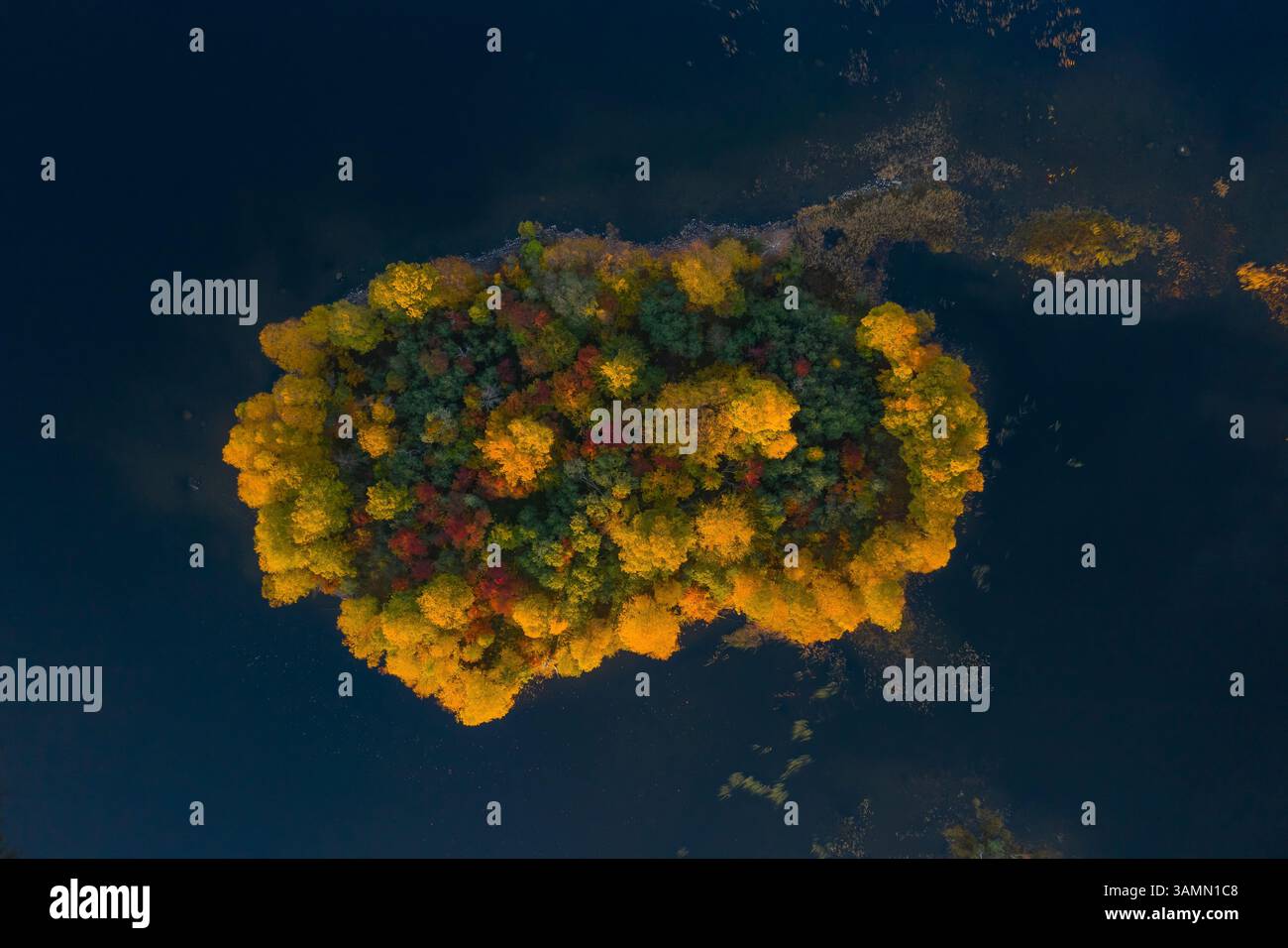 Aus der Vogelperspektive der Kizhi-Inseln entlang der Nordpazifik-Küste, Republik Karelien, Medwezhyegorski-Bezirk, Russland. Stockfoto