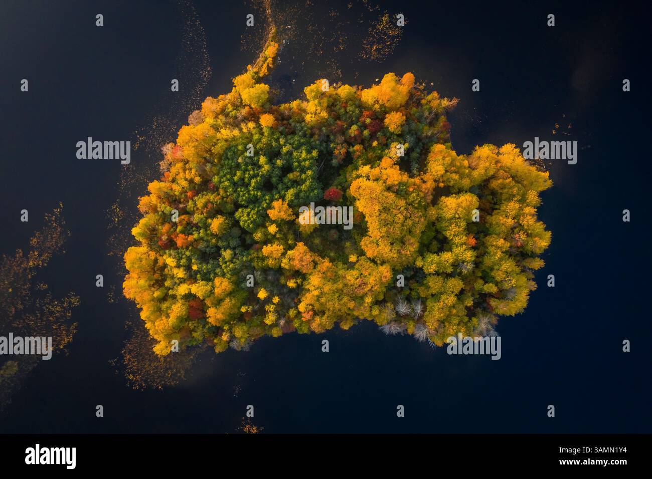 Aus der Vogelperspektive der Kizhi-Inseln entlang der Nordpazifik-Küste, Republik Karelien, Medwezhyegorski-Bezirk, Russland. Stockfoto