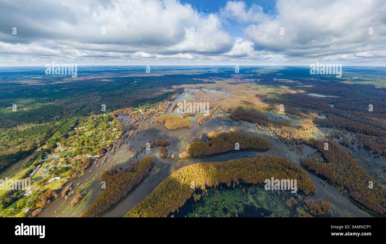 Luftaufnahme der kahlköpfigen Zypressensümpfe in Louisiana Texas, USA Stockfoto