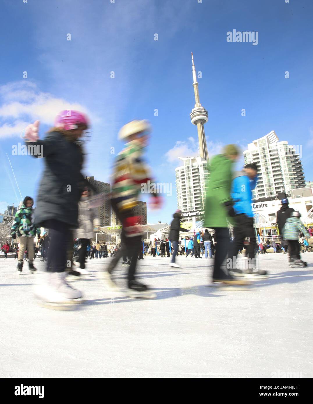 17. Februar 2014 - ON, Kanada - es war ein langes Wochenende am Familientag und Familien waren am Montag, den 17. Februar 2014 auf der Eislaufbahn im Harbourfront Centre. Jack Boland/Toronto Sun/QMI Agency (Kreditbild: © Jack Boland/QMI Agency/ZUMAPRESS.com) Stockfoto
