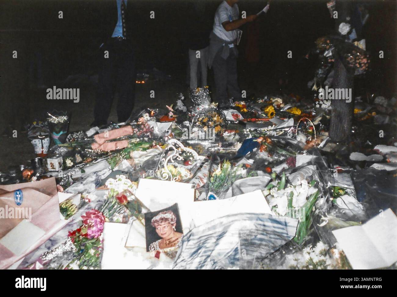 Tribut an Diana, Prinzessin von Wales, in Kensington Gardens nach ihrem Tod im September 1997. Florale Tribut und Botschaften Stockfoto