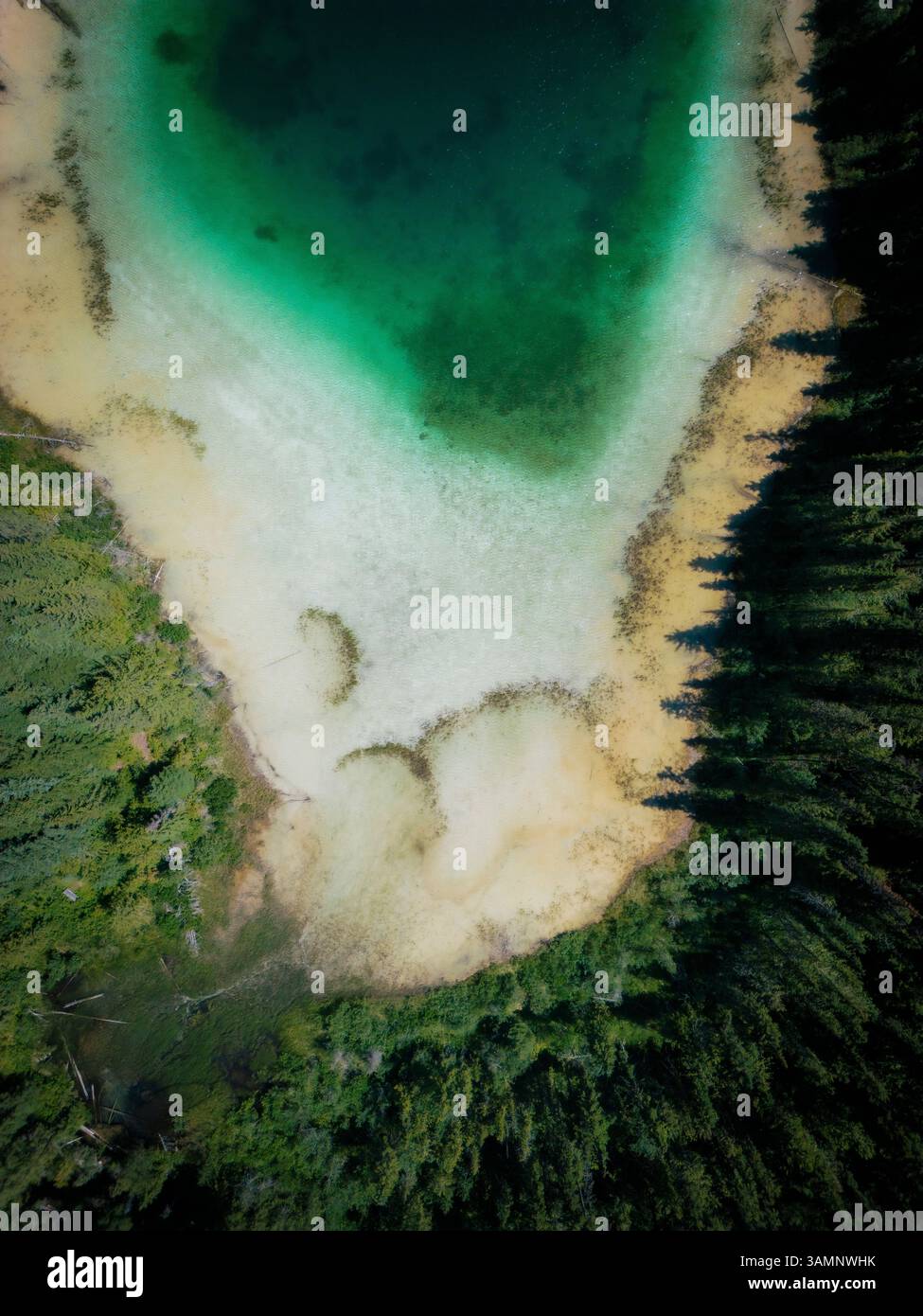 Blick aus der Vogelperspektive auf den farbenfrohen Johnson Lake mit türkisfarbenem Wasser, umgestürzten Bäumen und ruhigen Schatten, Louis Creek, Kanada. Stockfoto