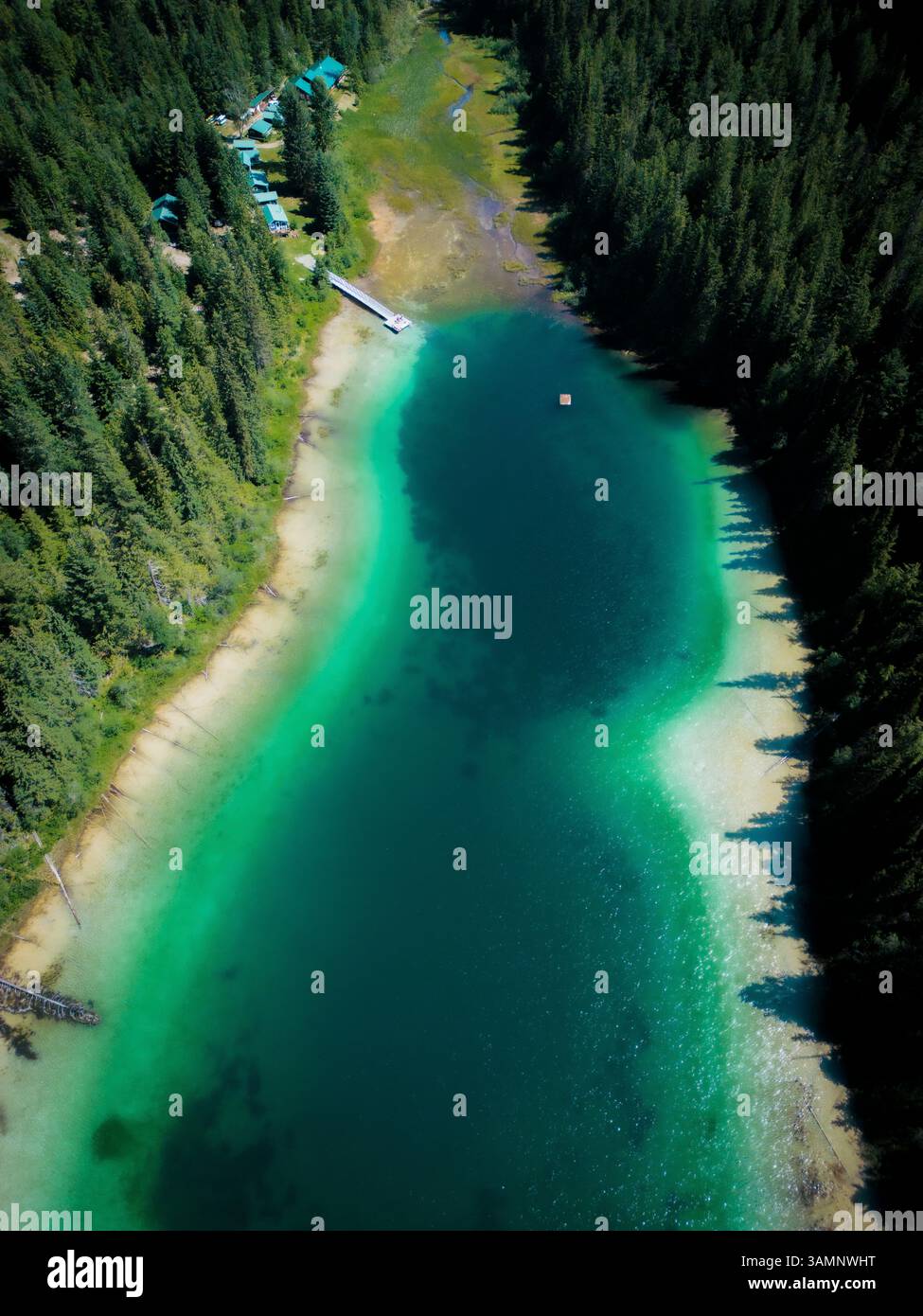 Blick aus der Vogelperspektive auf den türkisfarbenen Johnson Lake, umgeben von bunten umgestürzten Bäumen und ruhigen Waldschatten, Louis Creek, Kanada. Stockfoto
