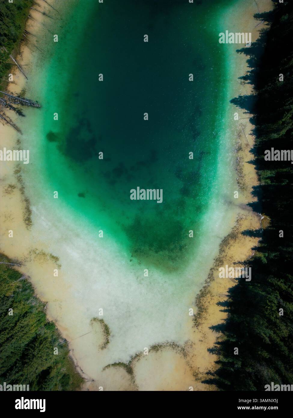 Blick aus der Vogelperspektive auf Johnson Lake mit türkisfarbenem Wasser, farbenfrohen Mustern und umgestürzten Bäumen, Louis Creek, Kanada. Stockfoto