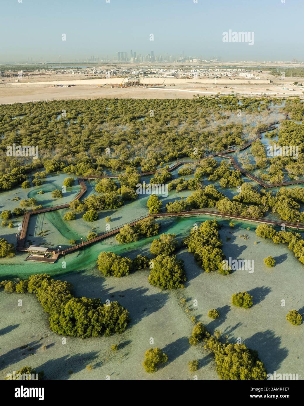 Luftaufnahme der Jubail Mangrove, Abu Dhabi, Vereinigte Arabische Emirate. Stockfoto