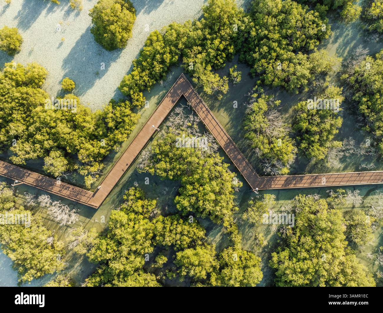 Luftaufnahme der Jubail Mangrove, Abu Dhabi, Vereinigte Arabische Emirate. Stockfoto