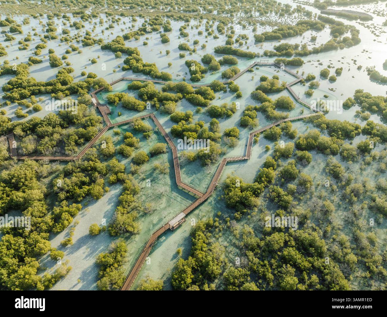 Luftaufnahme der Jubail Mangrove, Abu Dhabi, Vereinigte Arabische Emirate. Stockfoto