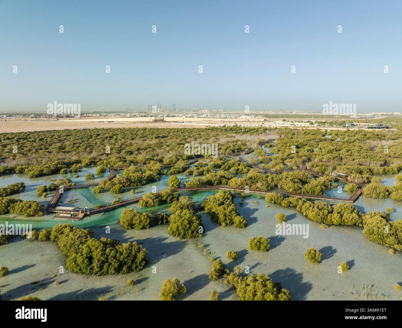 Blick aus der Vogelperspektive auf üppige Mangrovenwälder und Feuchtgebiete in Jubail Mangrove, Abu Dhabi, Vereinigte Arabische Emirate. Stockfoto