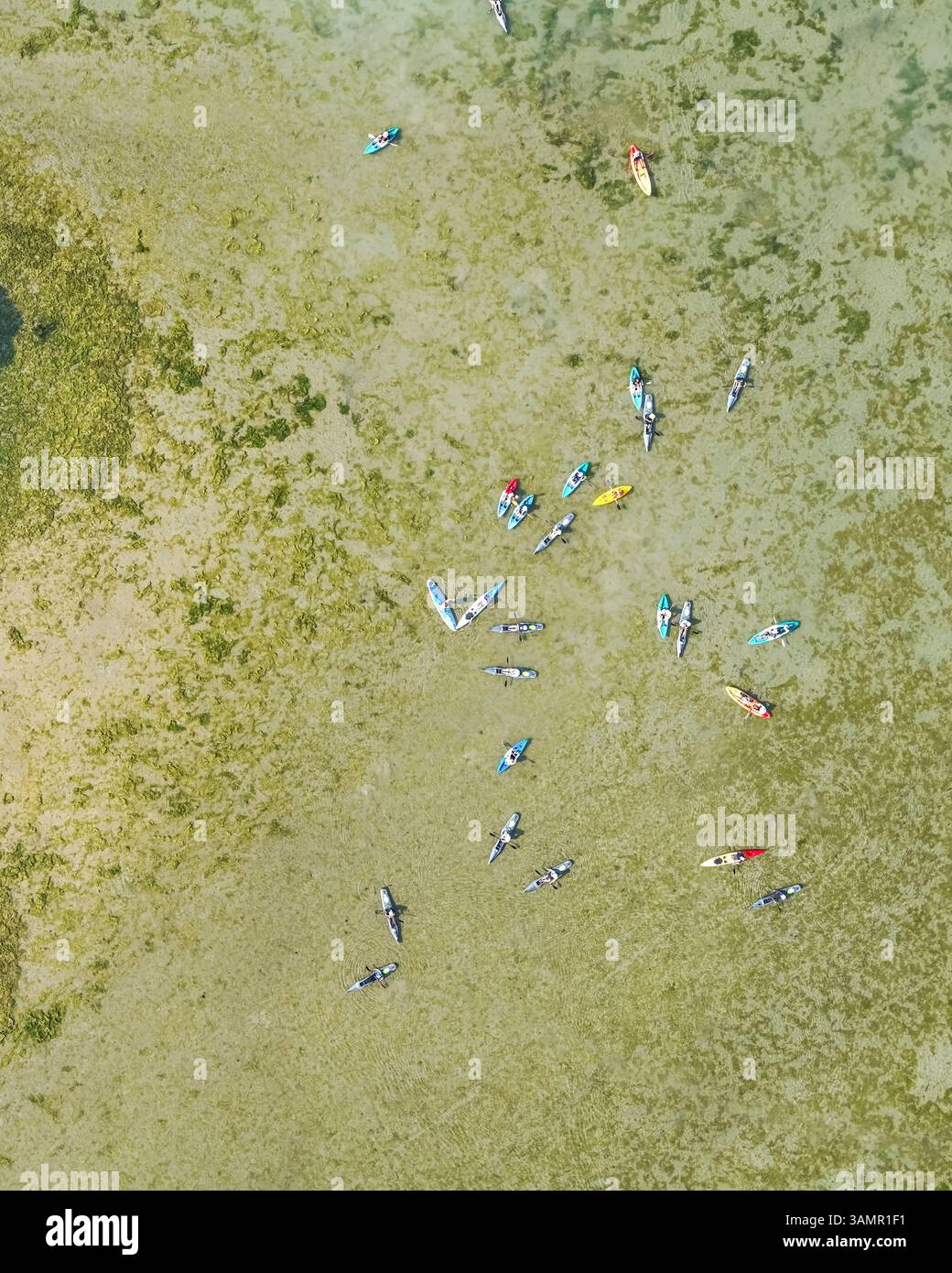 Aus der Vogelperspektive der Jubail Mangrove mit Kajaks, Kanus und Menschen, Abu Dhabi, Vereinigte Arabische Emirate. Stockfoto