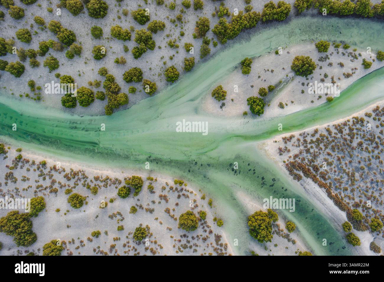 Luftaufnahme der Jubail Mangrove, Abu Dhabi, Vereinigte Arabische Emirate. Stockfoto
