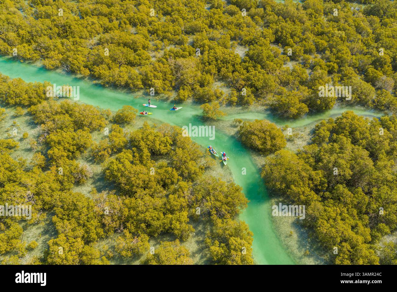 Aus der Vogelperspektive von Menschen, die in einem kleinen Fluss vor Abu Dhabi, Vereinigte Arabische Emirate, Kajak fahren. Stockfoto