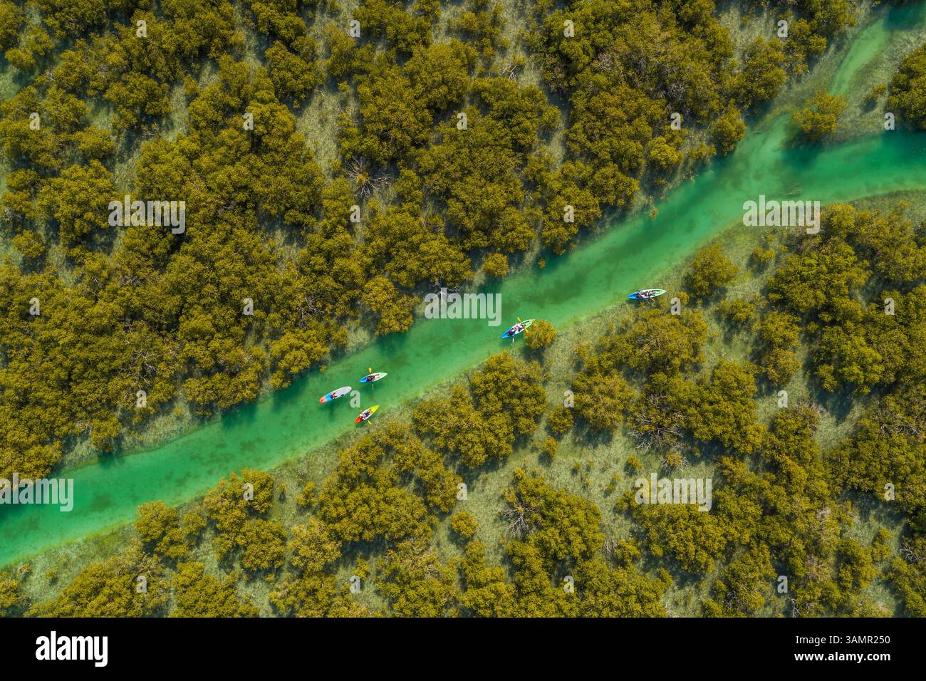 Aus der Vogelperspektive von Menschen, die in einem kleinen Fluss vor Abu Dhabi, Vereinigte Arabische Emirate, Kajak fahren. Stockfoto