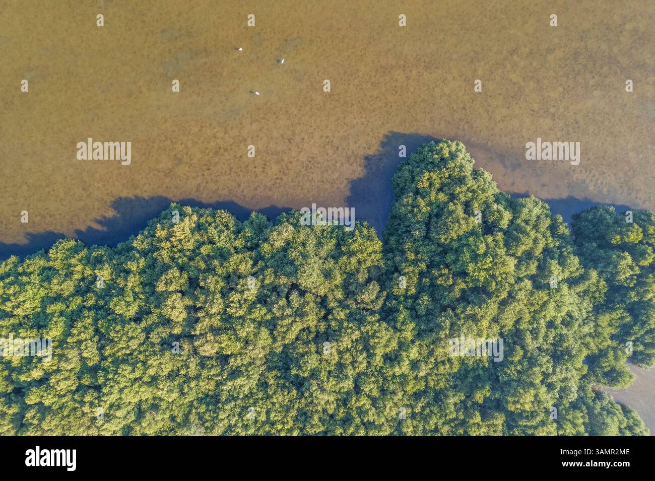 Luftaufnahme des Hafenflusses im Marschland im Bundesstaat Ajman, Vereinigte Arabische Emirate. Stockfoto