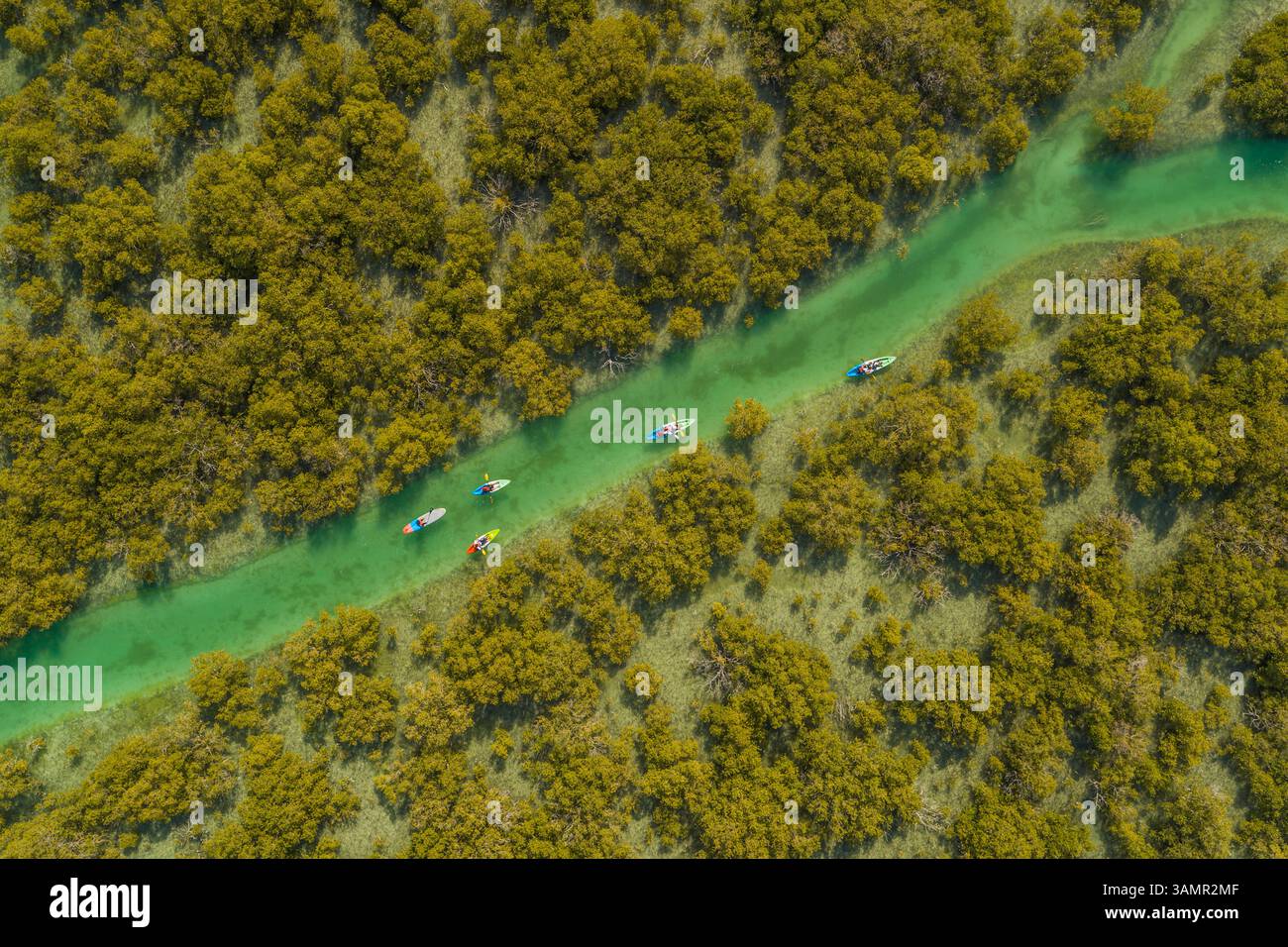 Aus der Vogelperspektive von Menschen, die in einem kleinen Fluss vor Abu Dhabi, Vereinigte Arabische Emirate, Kajak fahren. Stockfoto