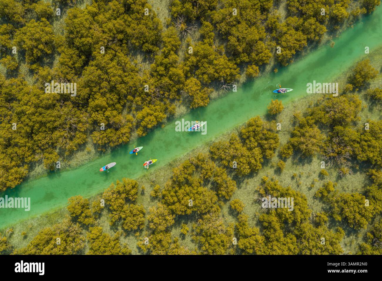 Aus der Vogelperspektive von Menschen, die in einem kleinen Fluss vor Abu Dhabi, Vereinigte Arabische Emirate, Kajak fahren. Stockfoto