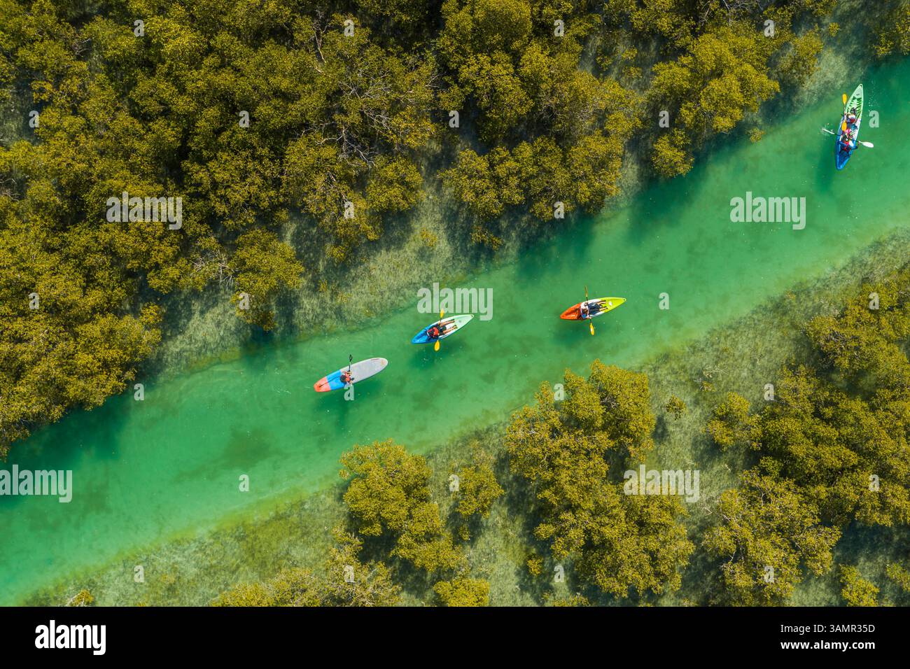 Aus der Vogelperspektive von Menschen, die in einem kleinen Fluss vor Abu Dhabi, Vereinigte Arabische Emirate, Kajak fahren. Stockfoto
