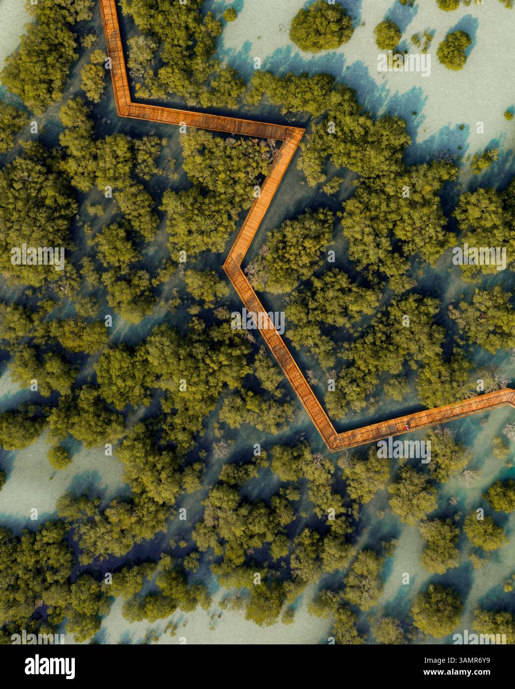 Luftaufnahme über dem Jubail Mangrove Park in Abu Dhabi, Vereinigte Arabische Emirate Stockfoto