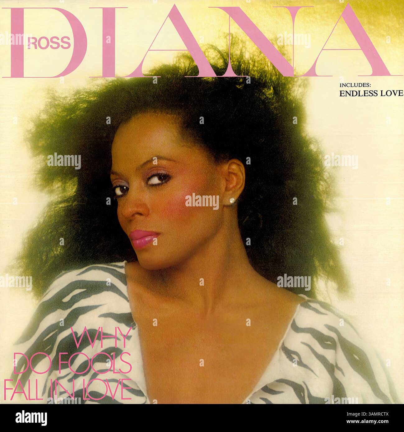 Diana Ross - Why Do Fools Fall in Love - Vintage-Vinyl-Cover Stockfoto