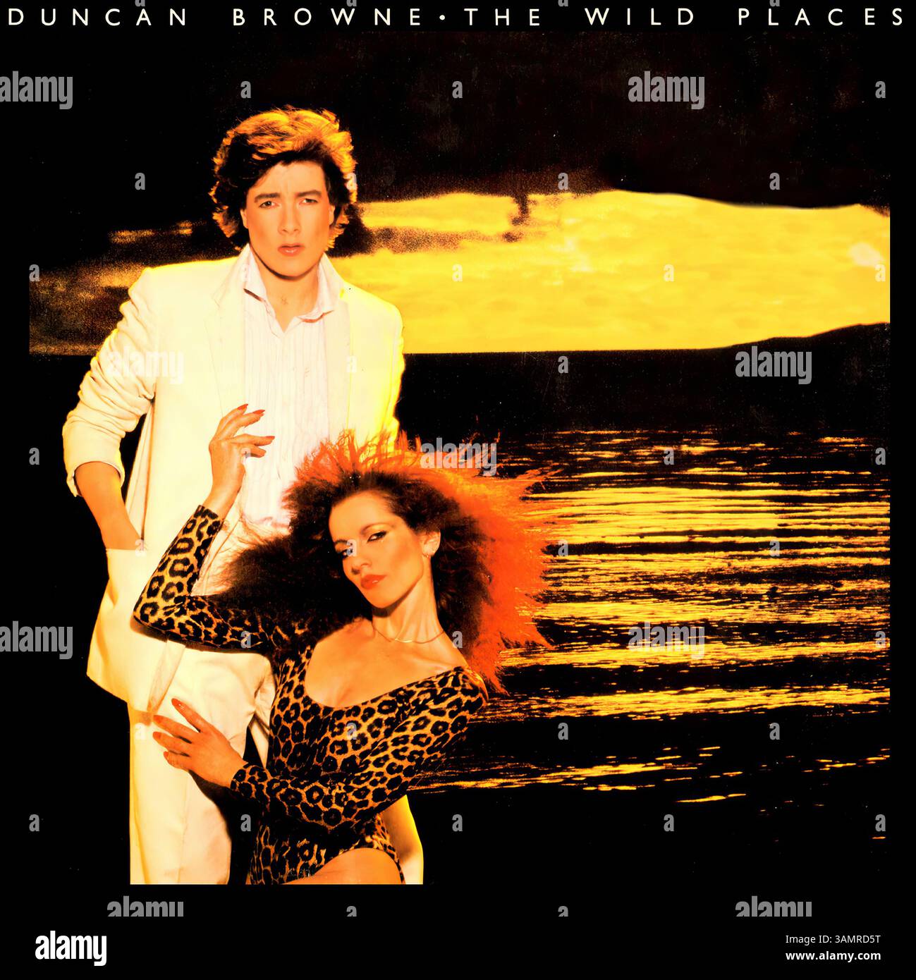 Duncan Browne - The Wild Places - Vintage-Vinyl-Cover Stockfoto