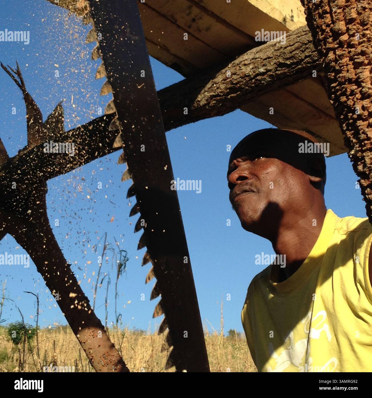 31. Dezember 2013 - Haiti/Dominikanische Republik - mit Hilfe einer zwei-Mann-sah haitianische Bauern Holz schneiden, um ein Haus entlang der Grenze zur Dominikanischen Republik zu reparieren. Seit Jahrzehnten suchen Haitianer eine Flucht aus der lähmenden Armut, der politischen Gewalt und den sozialen Unruhen, die von aufeinander folgenden Diktaturen und gescheiterten Versuchen einer effektiven demokratischen Regierung angeheizt wurden. Das Erdbeben von 2010 verschlimmerte die wirtschaftlichen Angelegenheiten nur noch, da Haiti immer noch bemüht ist, diese Katastrophe zu überwinden. Die Haitianer werden in die Ränder ihrer Nation gedrängt und verzweifelt nach einem besseren Leben, überqueren die Grenze, um festzustellen, dass sie in der Dominica unwillkommen sind Stockfoto