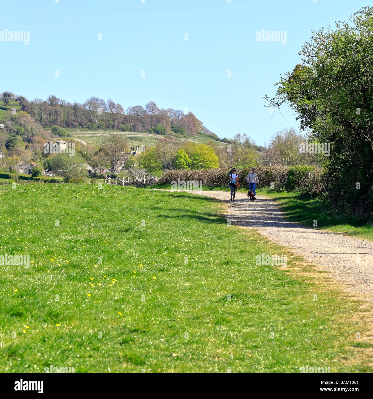 Weibliche Wanderer und Hund auf dem Weg von Saltford nach Kelston bei Bristol, England, Südwestengland, Großbritannien. Aufgenommen Stockfoto