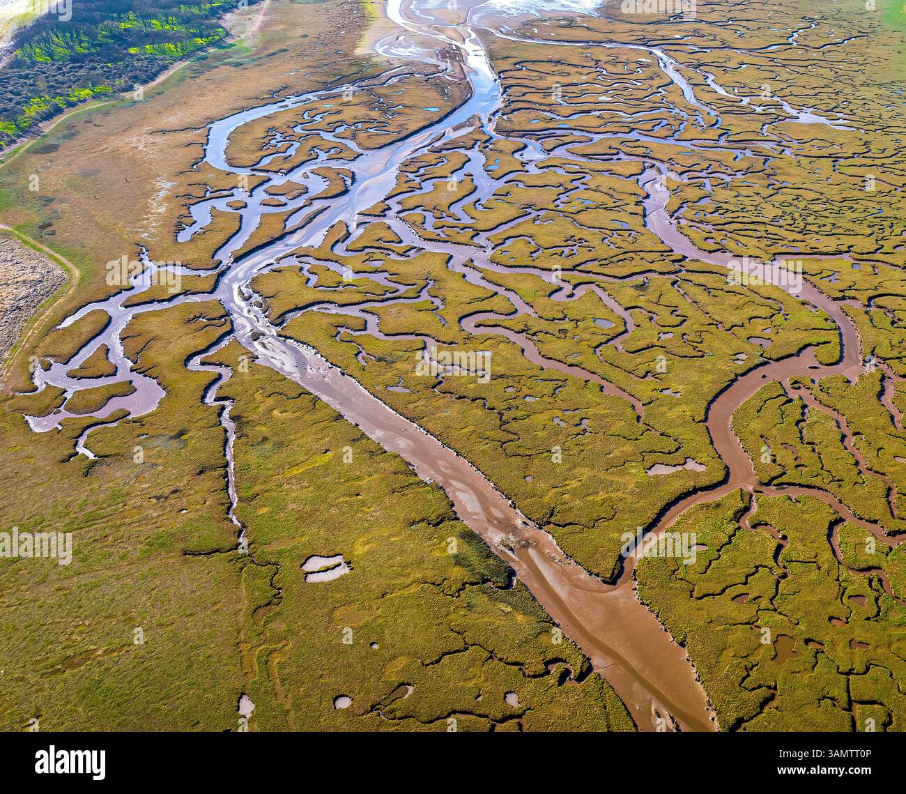 Luftaufnahme des mäandernden Flusses und der Sumpflandschaft in Tynninghame, East Lothian, Schottland. Stockfoto