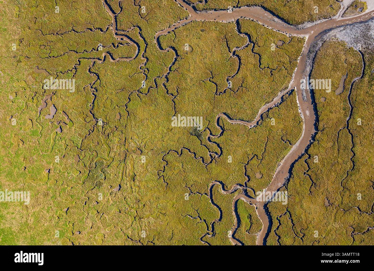Luftaufnahme der abstrakten Feuchtgebiete und des sich windenden Flusses in Tynninghame, East Lothian, Schottland. Stockfoto