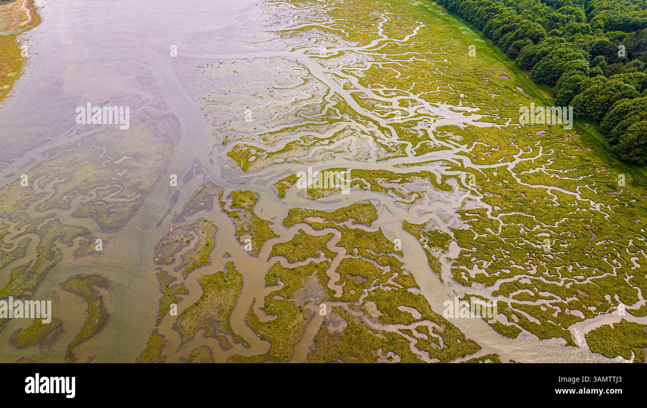 Luftaufnahme von Feuchtgebieten und Wäldern in Tynninghame, East Lothian, Schottland. Stockfoto