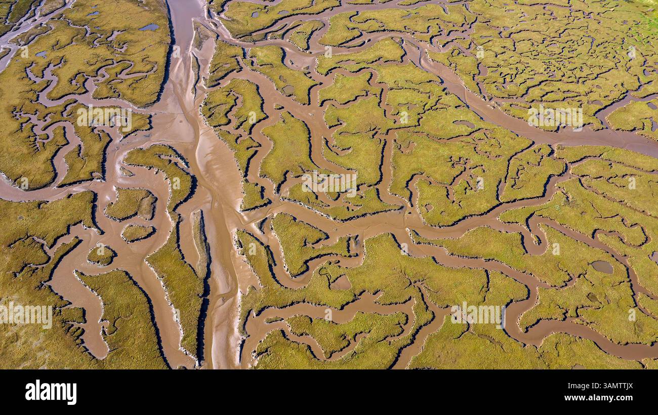 Luftaufnahme des mäandernden Flusses und Feuchtgebiets in Tynninghame, East Lothian, Schottland. Stockfoto