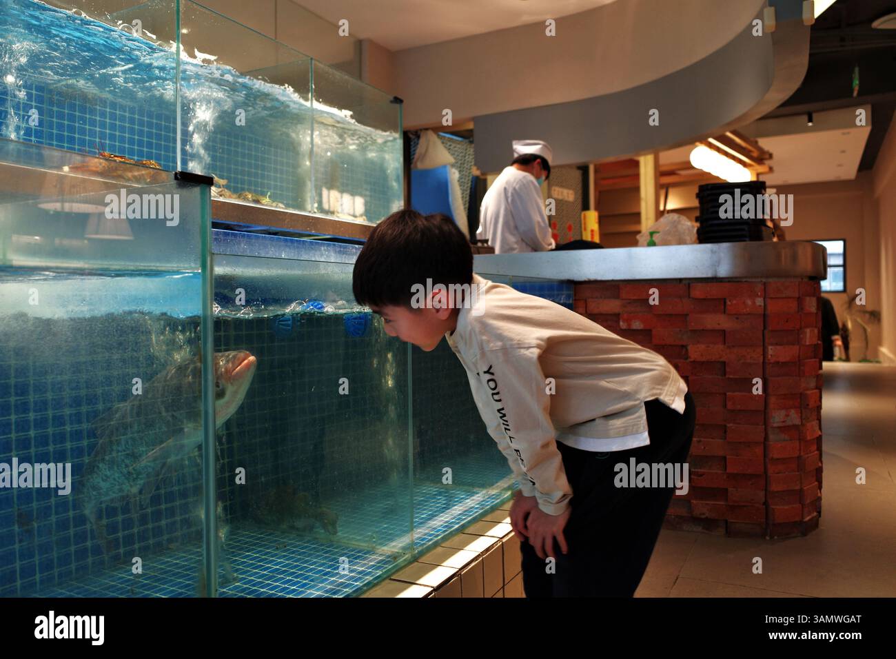 Wissbegieriger Junge, der Aquariumfische in einem Restaurant beobachtet - Ein offener Moment der Neugier der Kindheit inmitten kulinarischer Aktivitäten Stockfoto