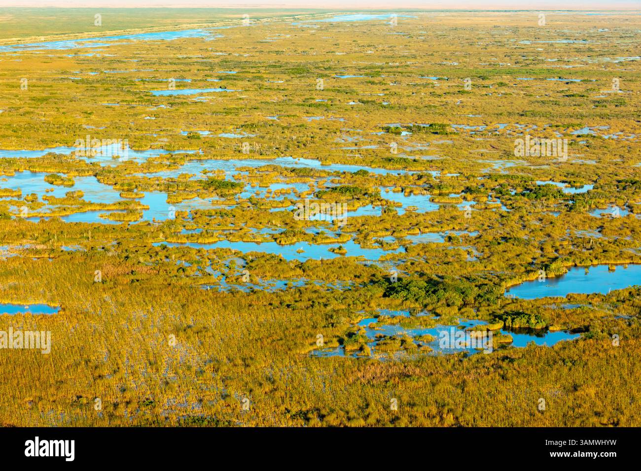 Luftaufnahme der Sumpfgebiete in Everglades, Palm Beach County, Florida, USA. Stockfoto