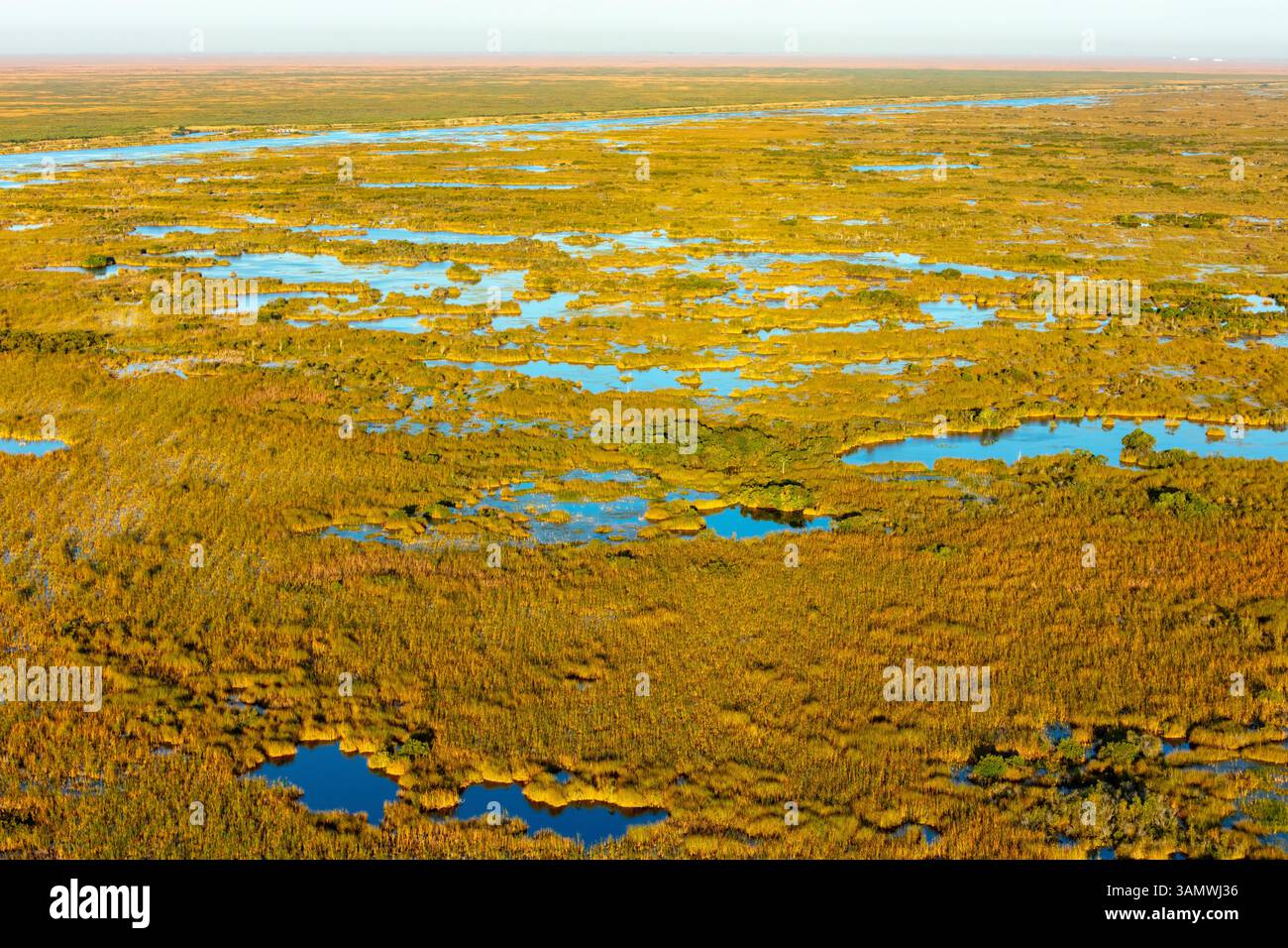 Aus der Vogelperspektive auf natürliche Feuchtgebiete und Flüsse in Everglades, Palm Beach County, Florida, USA. Stockfoto